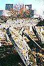 Rabí