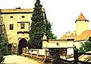 Veveří